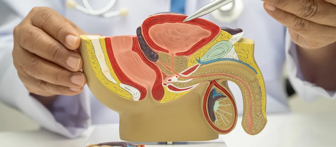 Gastroenterology services